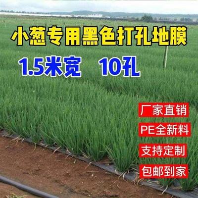 打孔地膜农用薄膜黑色除草地膜银黑反光蔬菜O膜小葱生菜洋葱专用