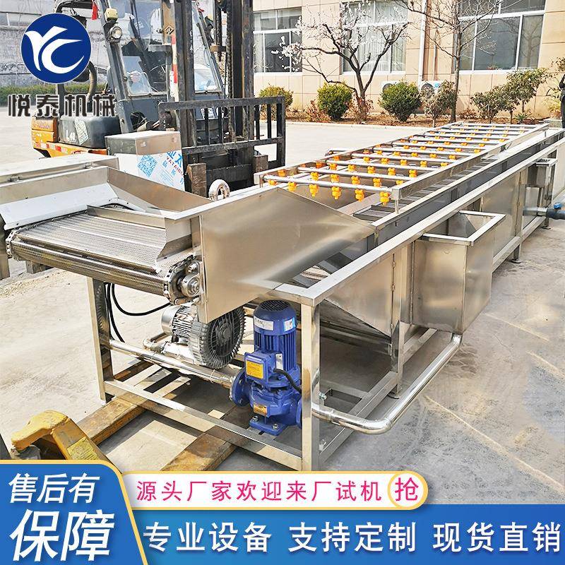 小白菜清洗机不锈钢气泡清洗机全自动大型洗菜机生姜片清洗机