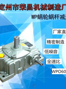 厂家供应 WPDS 减速机 卧式硬齿轮减速机 蜗轮蜗杆减速变速箱