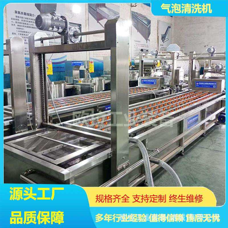 葡萄干清洗流水线 海鲜蔬果加工设备 大姜全自动高压喷淋清洗设备