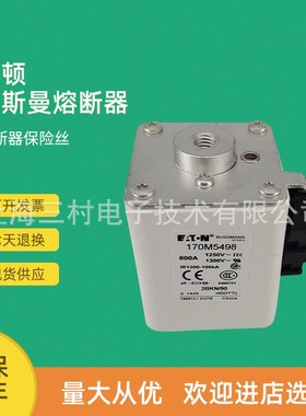 全新原装快速熔断器保险丝170M5534 170M5535 170M5536 170M5537