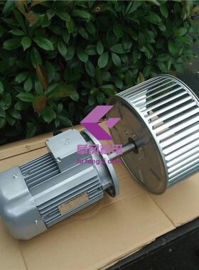 非标加长轴电机 YE2-100L2-4 1400转,3kw,耐高温烤箱热风循环