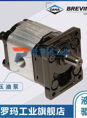 BRTVINI齿轮油泵OT100P20S/G13B0 G14B0 G214B0 R11S1 G11S1 D 58