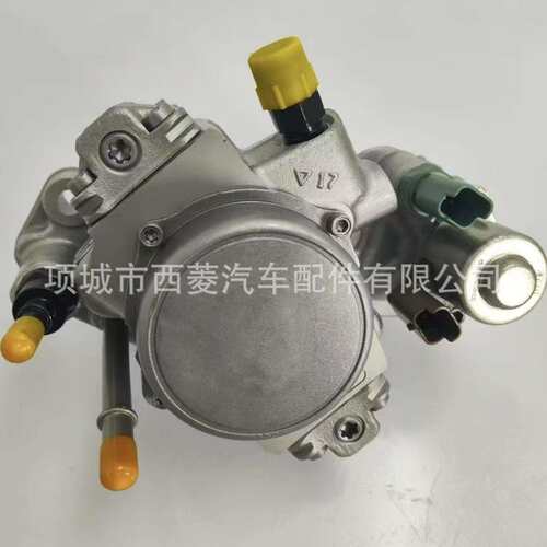 适用德尔福长城哈弗喷油泵 电喷共轨泵1111100-ED01 9424A100A
