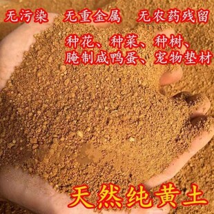 叫花鸡黄泥土专用荷叶鸡窑鸡泥土耐火土耐高温土幼儿园天然黄泥巴