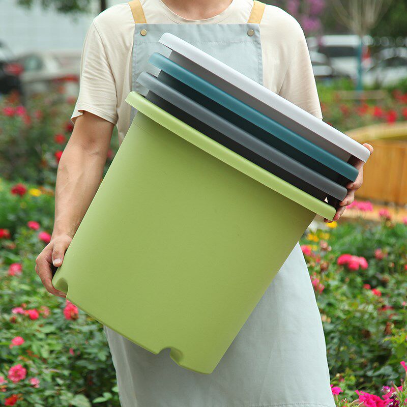 15加仑7加仑6加仑大型四季加仑花盆特大号塑料盆种树大型落地绿植