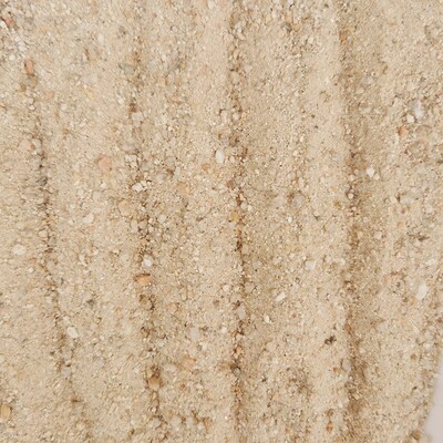 ll天然河沙潮沙子泥土养花粗细沙中沙栽种埋生姜沙姜保鲜存放