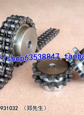 .5873T分轮10双排链条适用51513 齿链轮台55A1分齿 节距双排  分