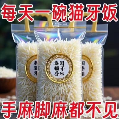 【当季鲜米】正宗猫牙米5斤长款丝苗米长粒香超长粒煲仔饭米小袋