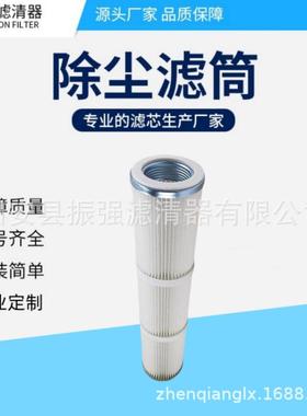 P783648 除尘滤芯 工程机械钻机滤筒