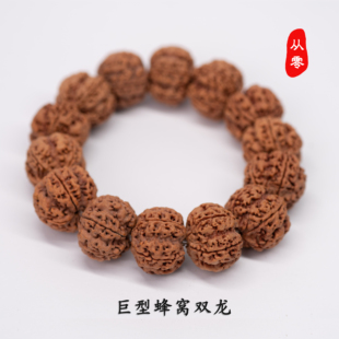 「巨龙」毕业级尼泊尔大金刚菩提子原生态安娜蜂窝双龙大尺寸梅花