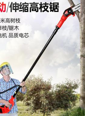 YT4389电动高枝锯 家用充电式电锯高空锯锂电伸缩园林果树修枝锯