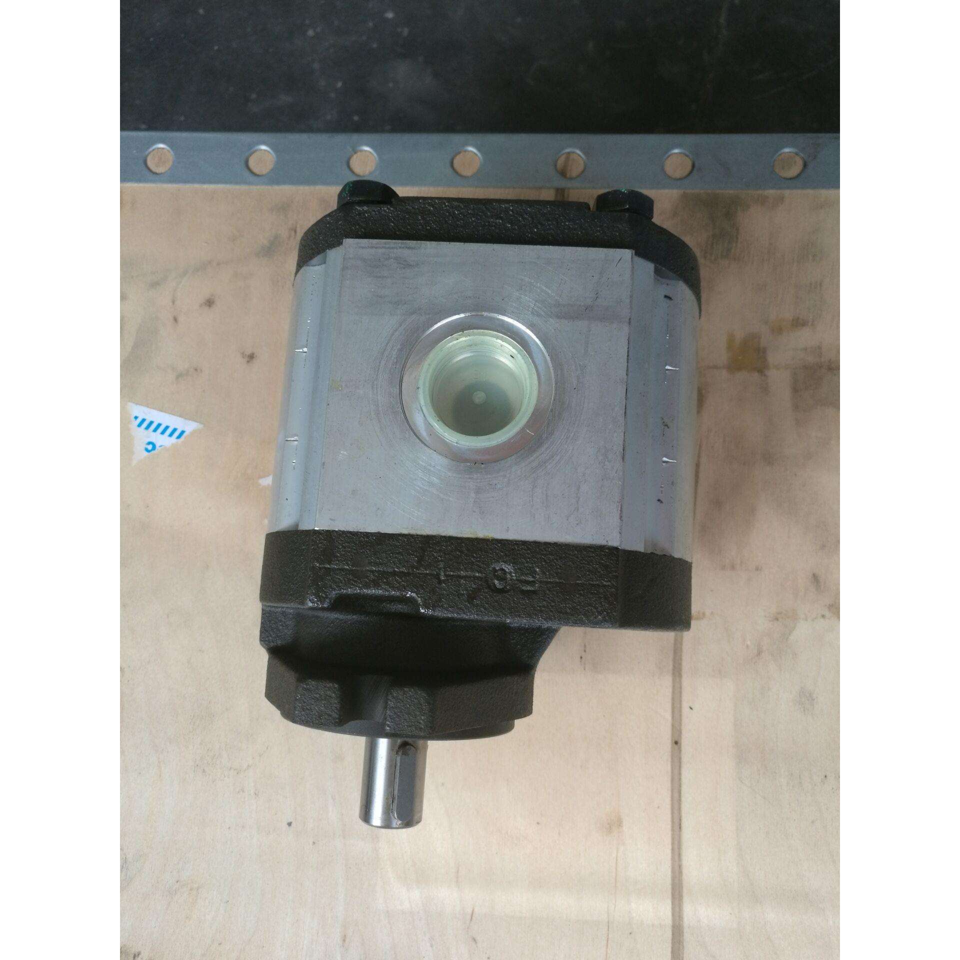 意大利RONZIO 罗茨液压马达 选型 040WC-6G90K40S1BN 齿轮泵