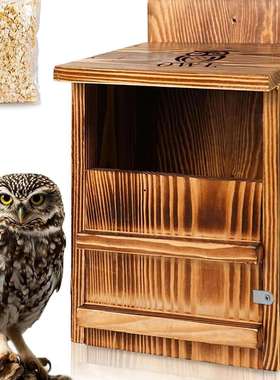 跨境亚马逊Screech Owl House手工制作的木制户外巢箱