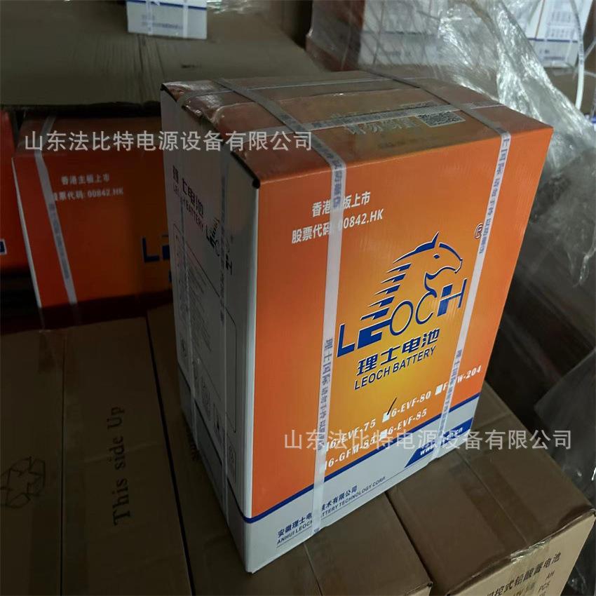 安徽理士动力型蓄电池6-EVF-100B免维护12V100Ah 电动洗地车