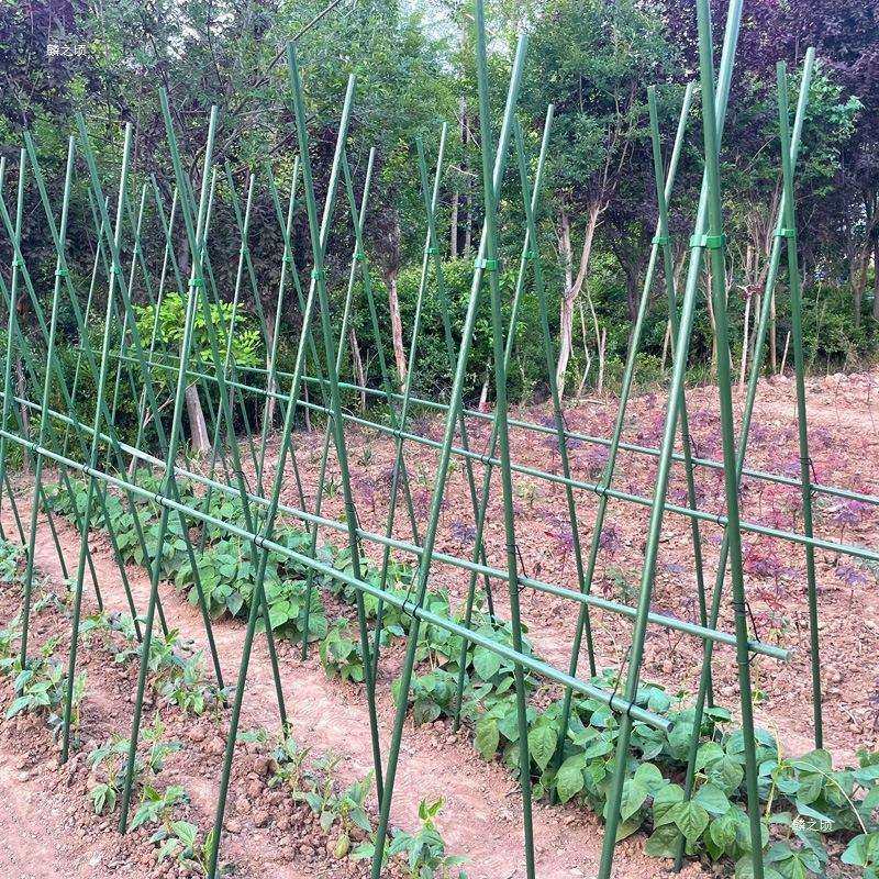 豆角架黄瓜架四季豆爬藤支撑架菜园菜架子种菜种植蔬菜架杆搭支架