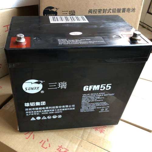 三瑞蓄电池6-FM55/12V55AH/蓄电池