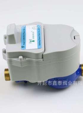 外贸Lorawan 远传水表868频段923频段远传水表lora远传水表