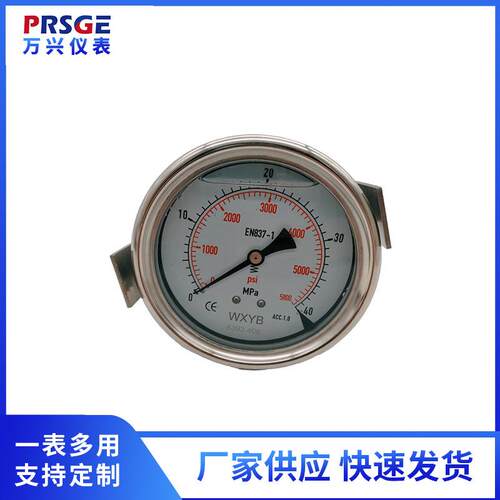 厂家供应进口注塑机专用压力表 YN100B/ZU 带U型支架表 轴向抗