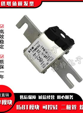 170M4608 170M4609 170M4610 170M4611 170M4612熔断器170M4613