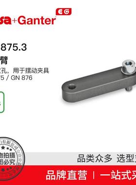 Elesa Ganter伊莉莎冈特 GN 875.3 夹紧臂