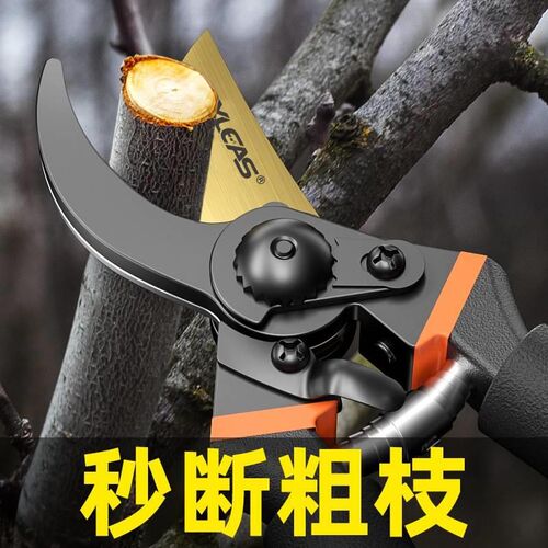园艺剪刀果树修j枝剪园林粗枝剪树枝用的剪刀花艺修枝剪摘果剪