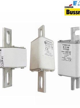 新款巴斯曼熔断器保险丝10M302010M302110M302210M3023现货10M302