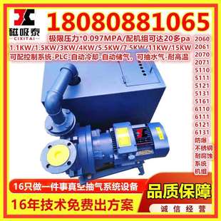 2BV5131水环真空机组闭环真空泵直联式 真空泵 真空泵5161SKA水环式