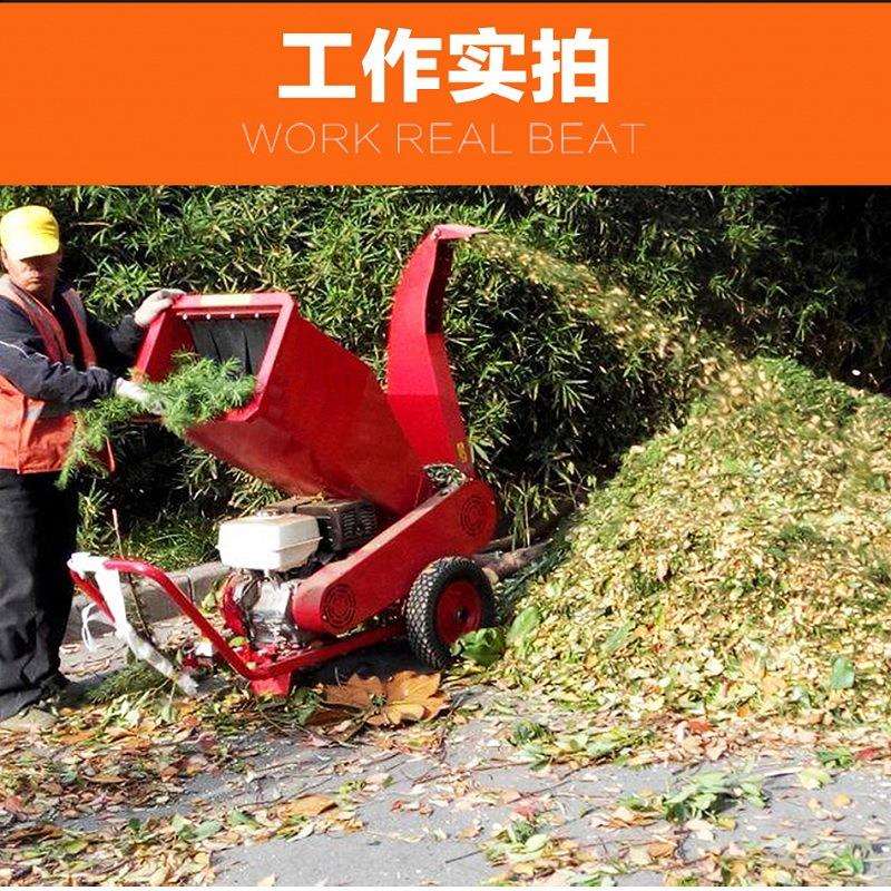 山东厂家卧式碎枝机汽油立式杂草枯树破碎机园林柴油粉碎机