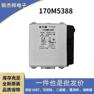 170M6920进口低压熔断器 170M6919 保险丝 170M6918 170M6910