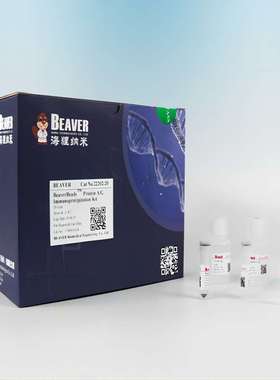70809-100   Beaver海狸DEAE磁珠 蛋白纯化磁珠 2*50ml