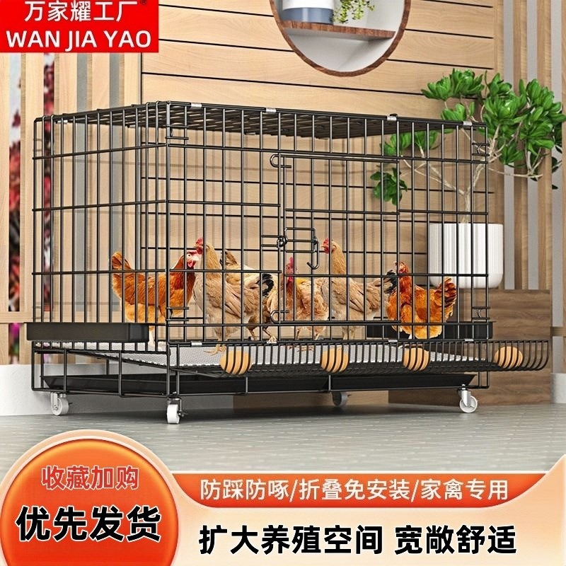 鸡笼子家用养鸡笼大号自动清粪折叠养殖笼鸡舍铁Y丝网鸭鹅笼
