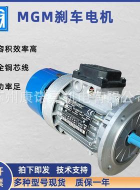 MGM风力发电7.5kw偏航电机BA132MA4刹车步进电机