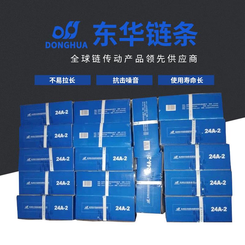 24A-2-40L双排传动链条 东华自强短节距链条 厂家供应传动链条