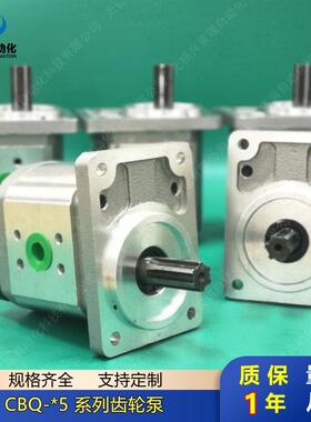 齿轮泵CBQ-G520CBQ-G525G532液压油泵CBQ-G540CBQ-F550-F563