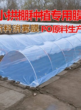 蓝色大棚内二膜农用菜园透明保温保湿蔬菜小拱棚加厚Y专用塑料薄