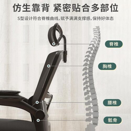 人体工学椅电脑椅家用久坐舒服靠背宿舍学习电竞椅子可躺办公座椅
