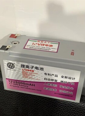 正中12v6000mAH足容量儿童车锂电池儿童电动车锂电池