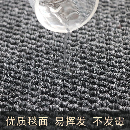 酒店大门口地垫公司进门迎宾地毯商用办公室进门脚垫别墅入户门垫