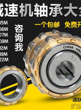 偏心轴承 RN205 RN206 RN307 RN309 204 312 219 222 228 M减速机