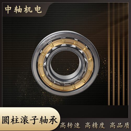 ZWZ圆柱轴承N NU NJ303 304 305 306 307 308 309 310 311EMC3