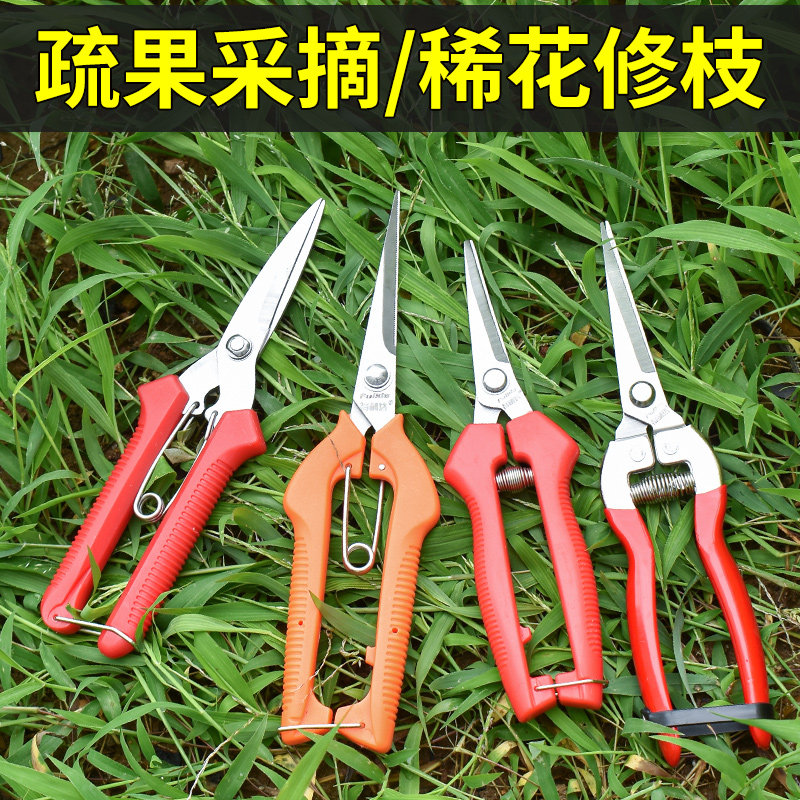 采果剪刀剪葡萄枝专用修枝剪疏果剪稀果剪摘花椒神器水果摘果剪子