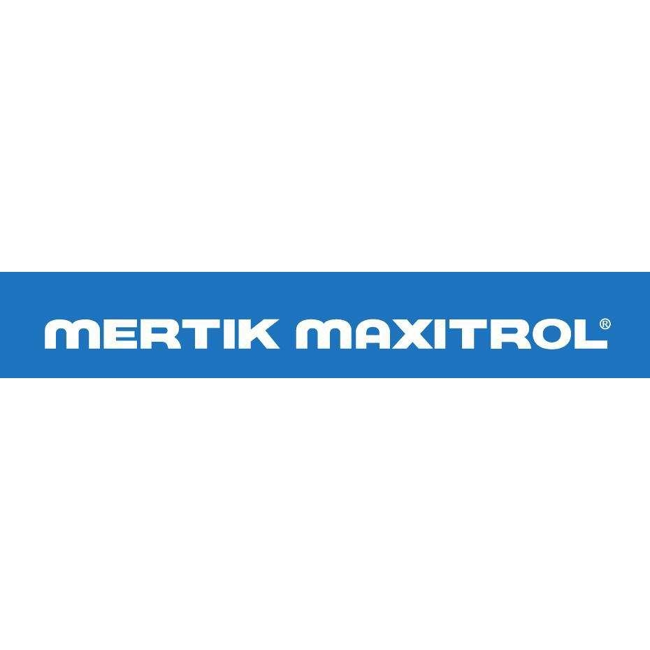 Mertik Maxitrol 气体过滤器 HF2000F100-0-0C