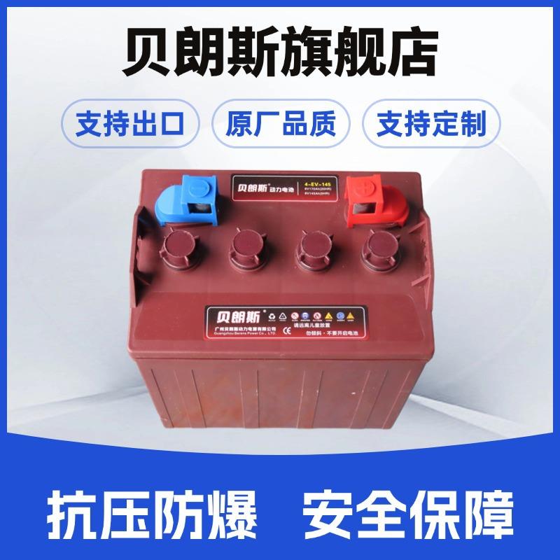 公园游览车蓄电池3-DG-220景区电动观光车电池3-EV-185