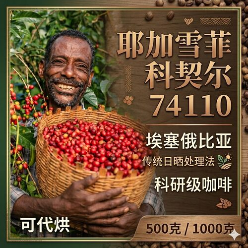 巨像74110咖啡豆埃塞尔比亚咖啡