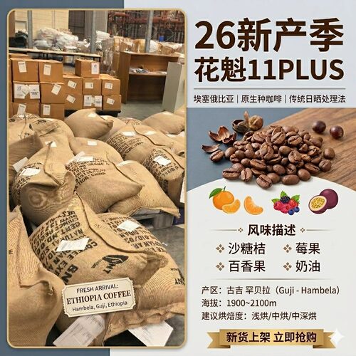 巨像埃塞花魁咖啡生豆G1