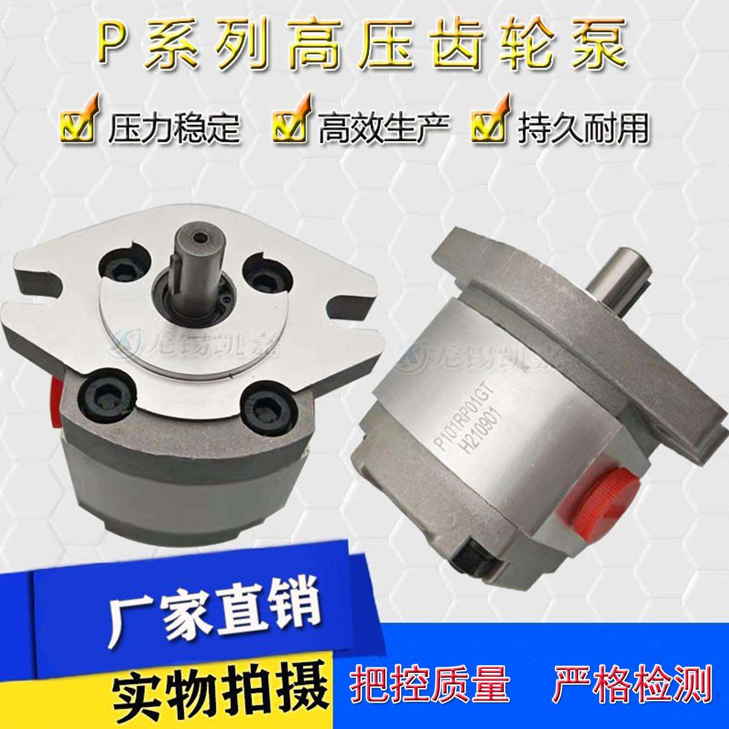 P101/102/103/104/P105/P104/P107/P108RP01GT12.7轴高压齿轮泵