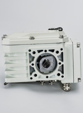 阀门电动执行器手动AC220VAC380V开关调节型控制器球阀蝶阀精小型