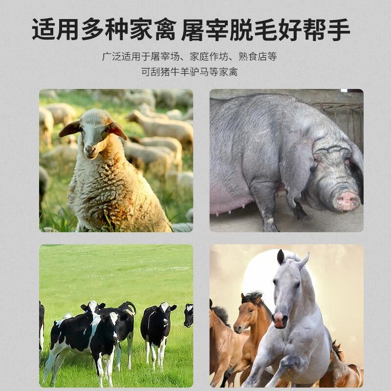 屠宰专用刀盘刮毛去除牛毛猪毛驴毛不锈钢刀片调速角磨机脱毛刨刀