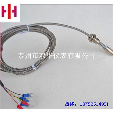 WZPM2-001 双支端面铂铑热电阻